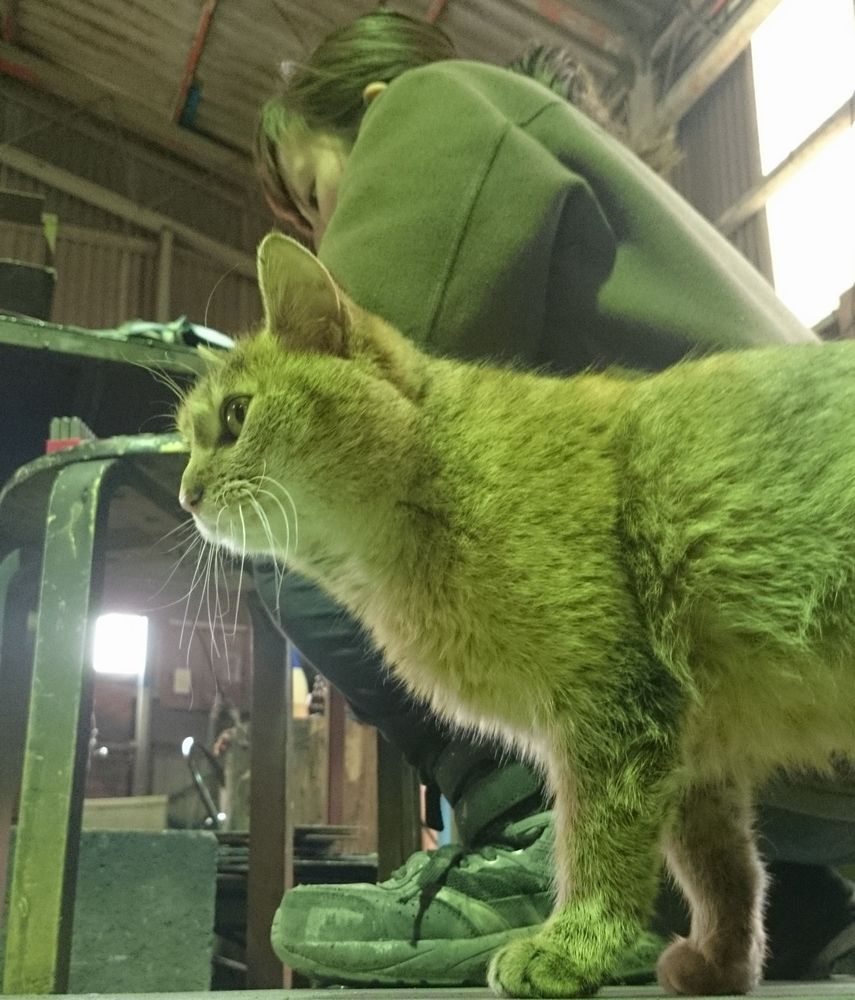 �A�C�A�����[�N���H�[���[�g�A�C�A���E�F���J���{�[�h