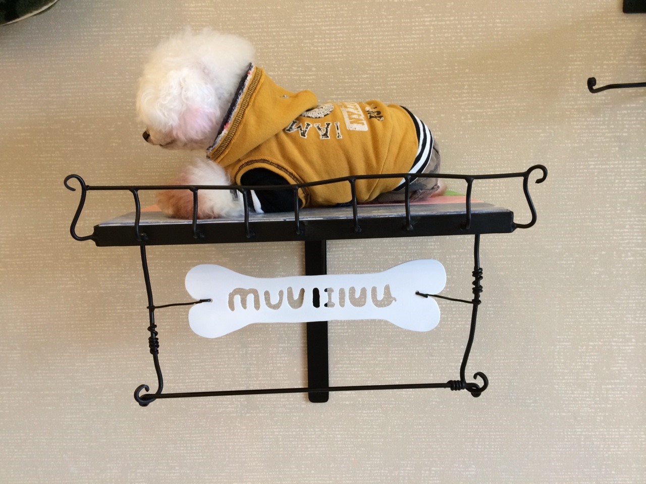 �A�C�A�����[�N���H�[�C���e���A����